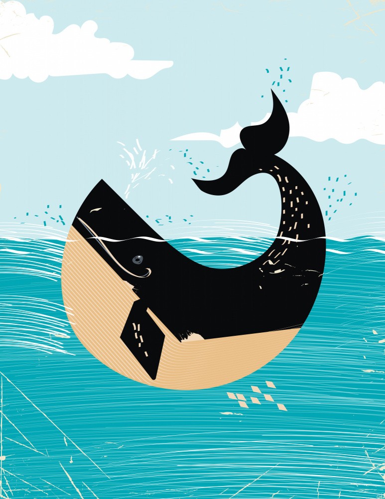 Whale