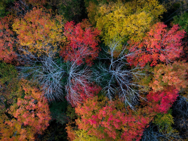 Herbstfarben