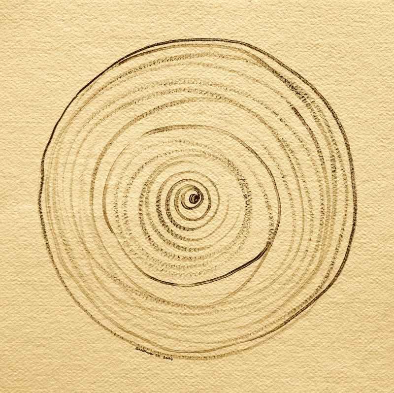 Circle of Life  34