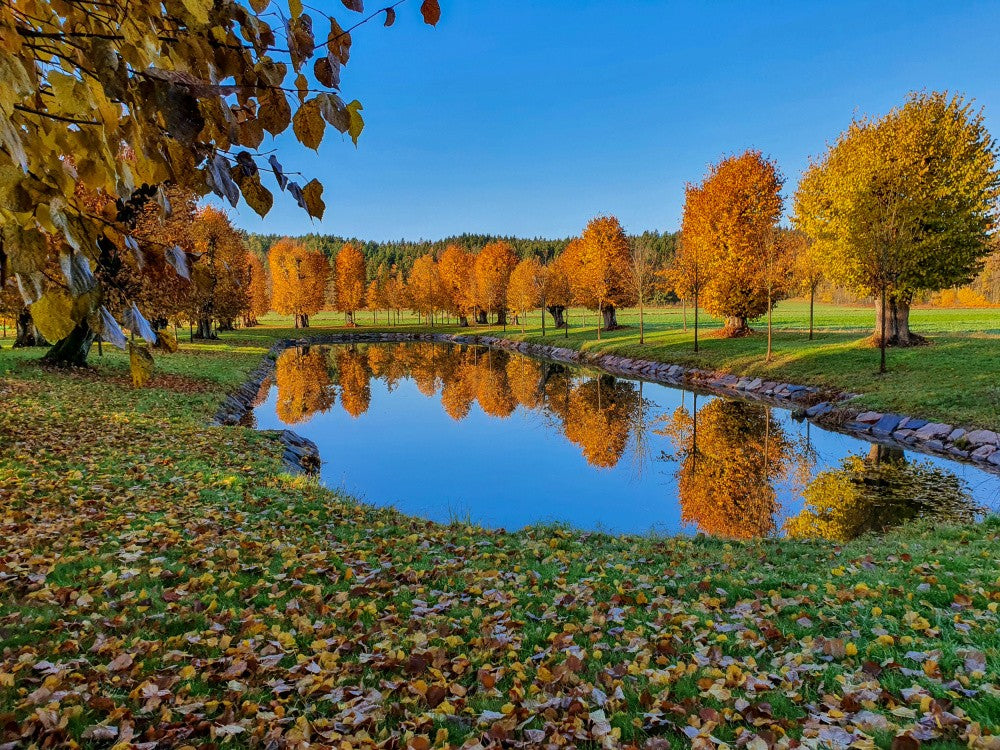 Barockparken Höst