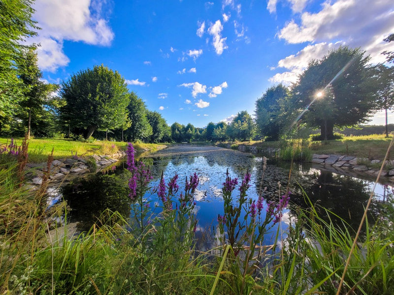Barockparken Sommar