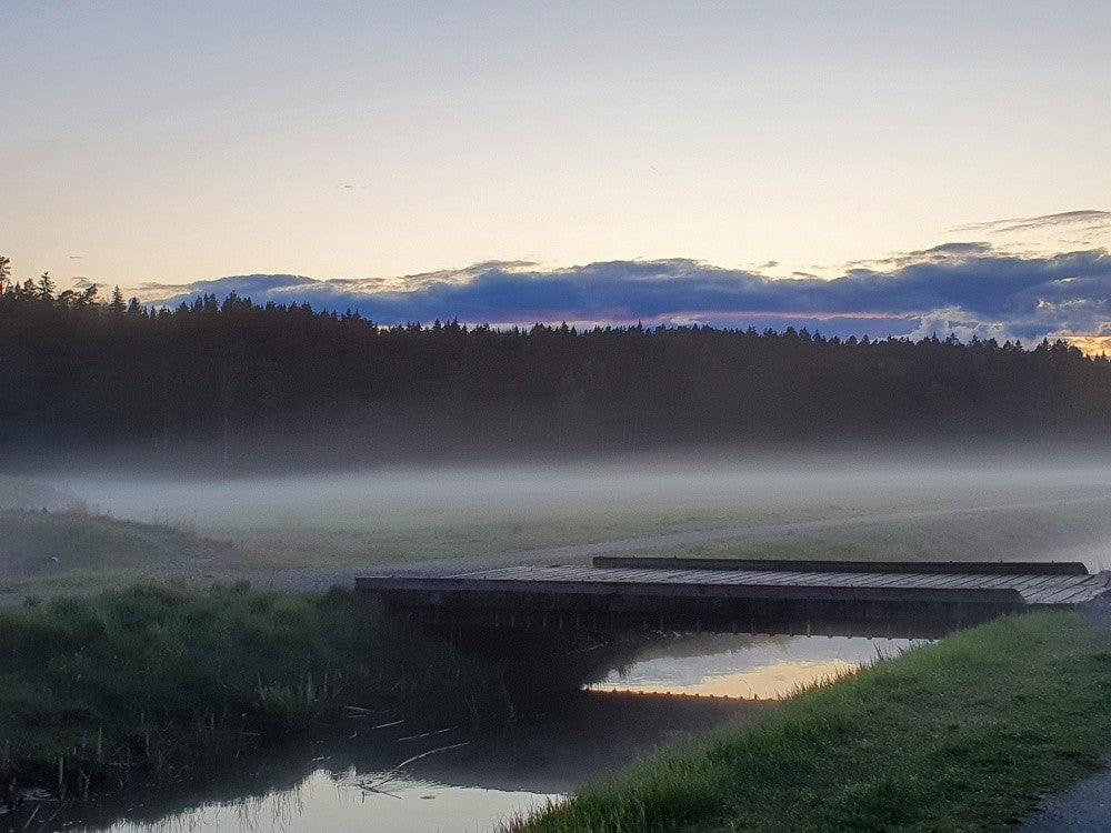 Brygga I Dimma