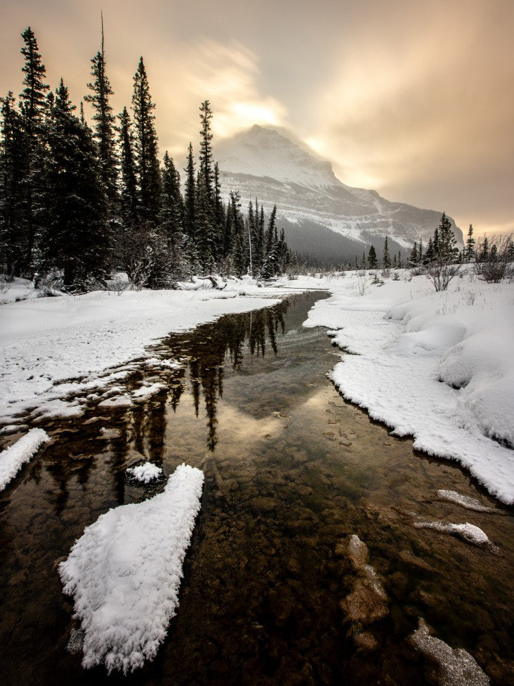 Dawn of Winter