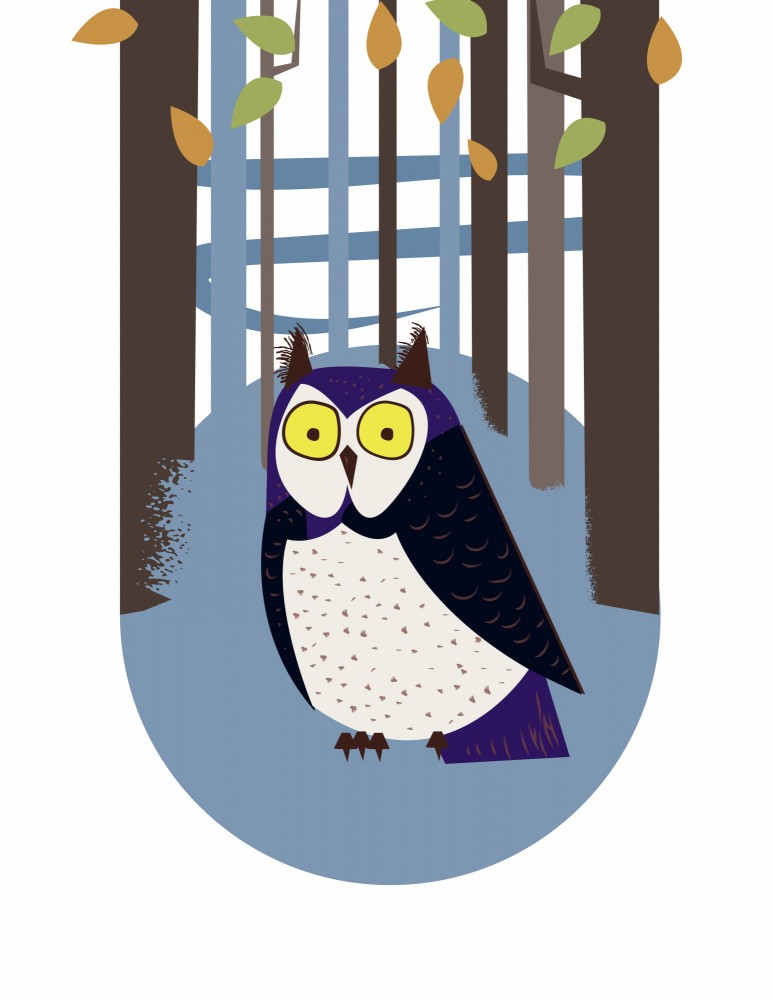 Owl in the Woodland