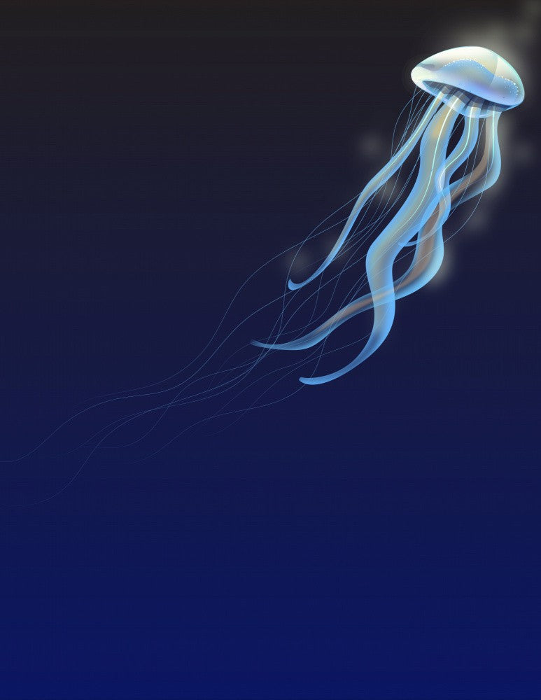 Jellyfish