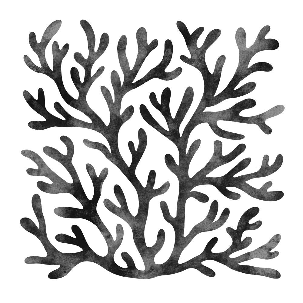 Coral Square II