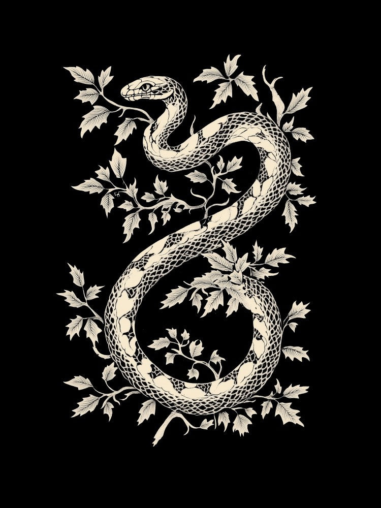 Black Snake Poster