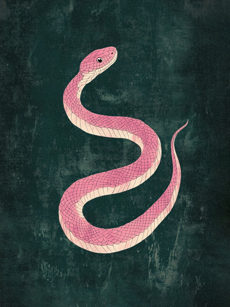 Snake Pink+green