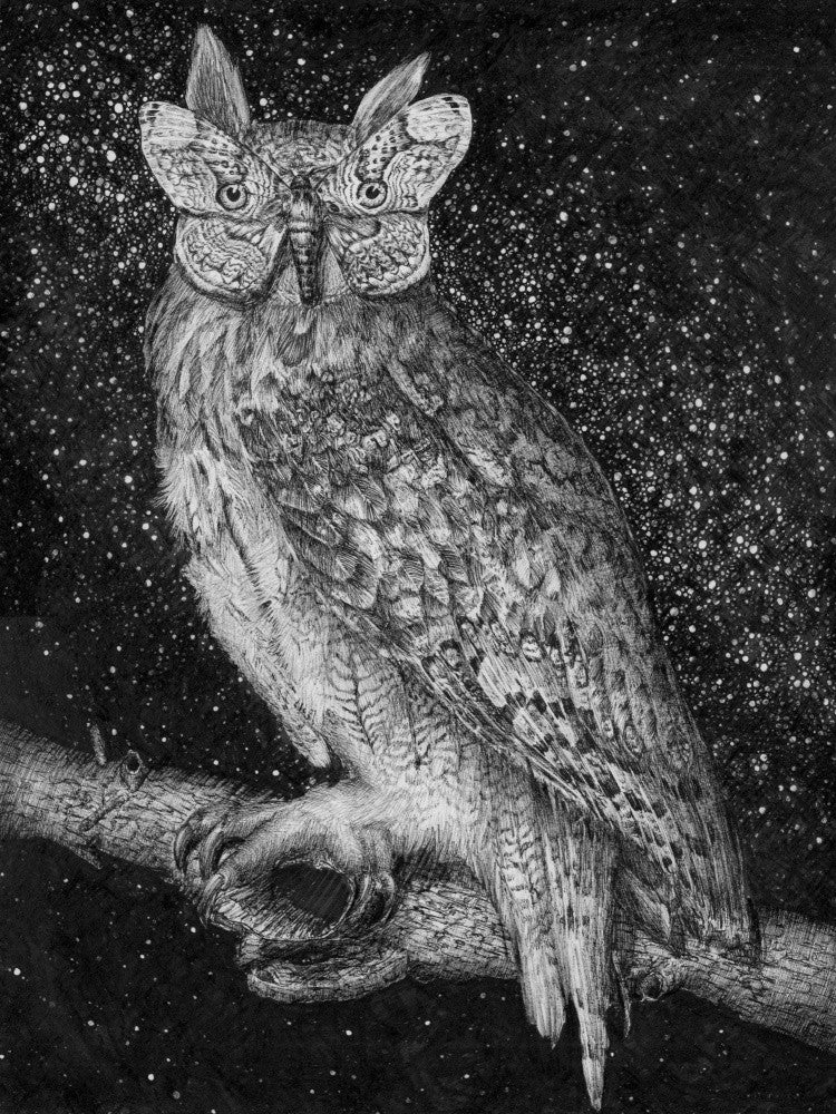 Cosmic Owl Fusion