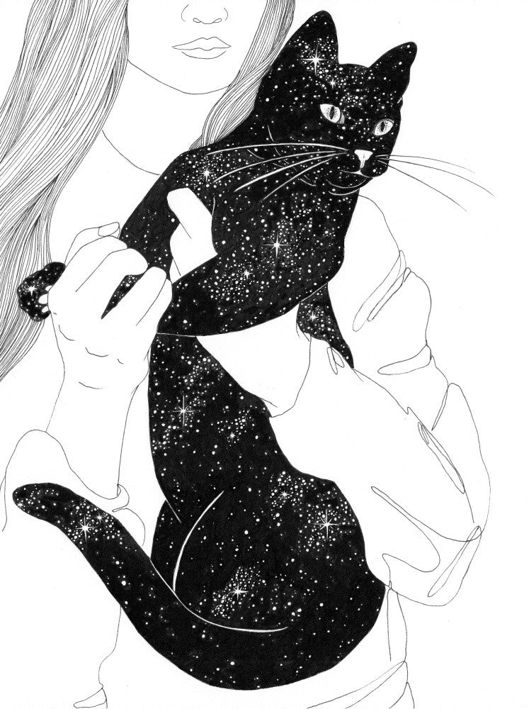 The Universe in a Cat