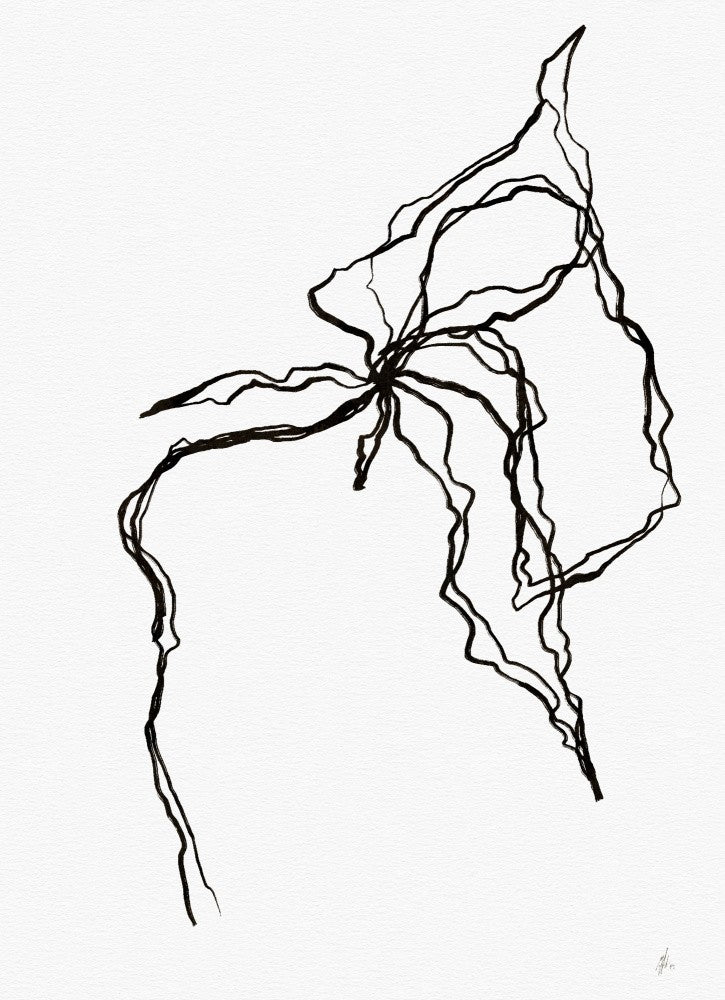 Entwined Shadows
