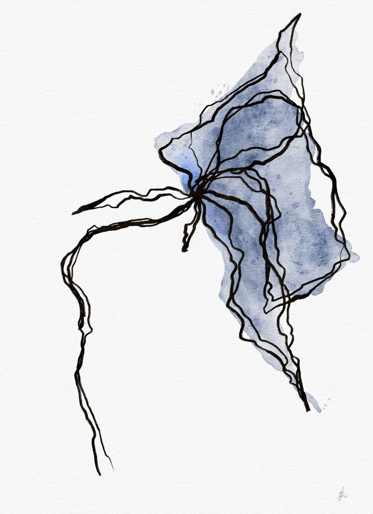Whimsical Veins
