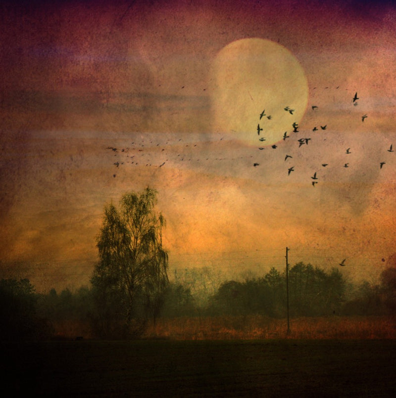 Hoping Land