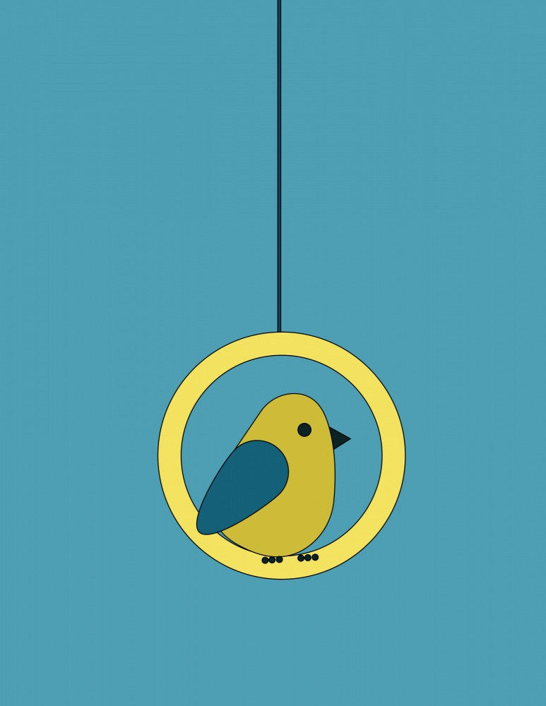 Vogelgesang auf dem Ring