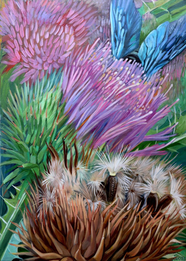 Carpenter Bee In Donkey Thistle Blossom