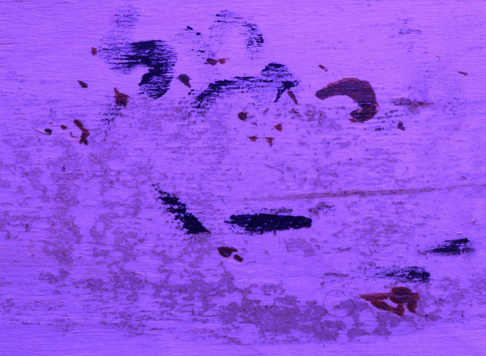 Dreams in Purple