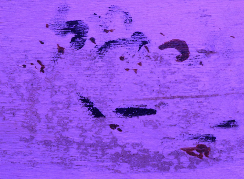 Dreams in Purple