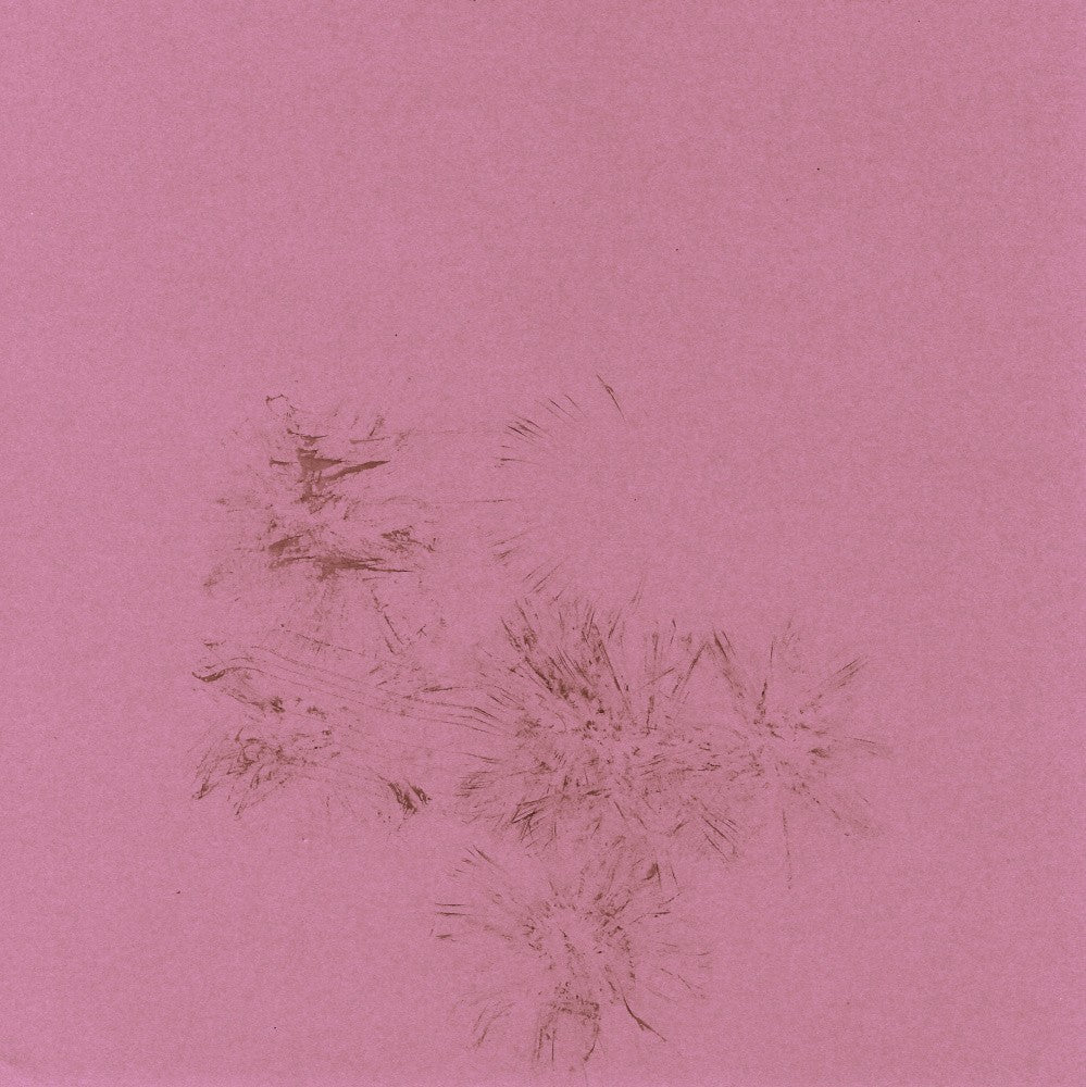 Pink Whisper Impressions