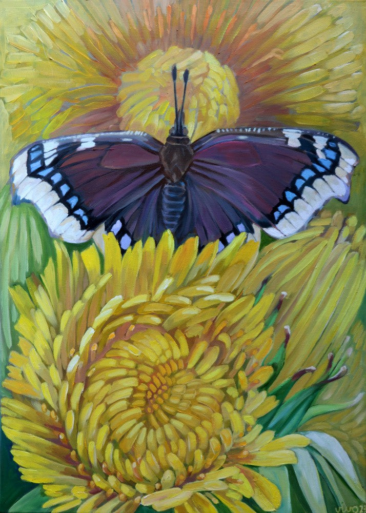 Mourning Cloak With Dandelions