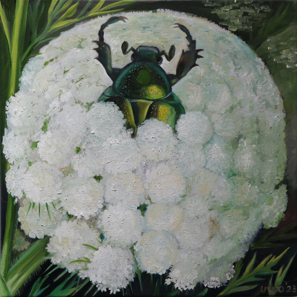 Rose Beetle and Wild Carrot