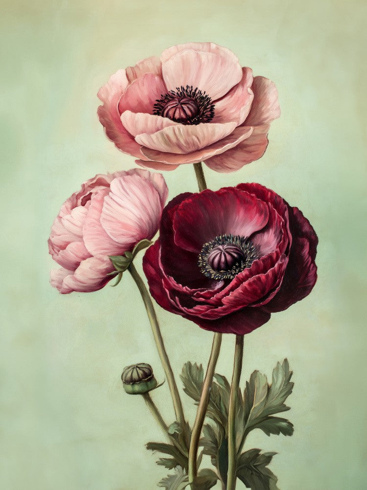 Pink and Red Peonies
