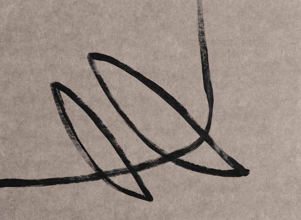 Fluid Curves