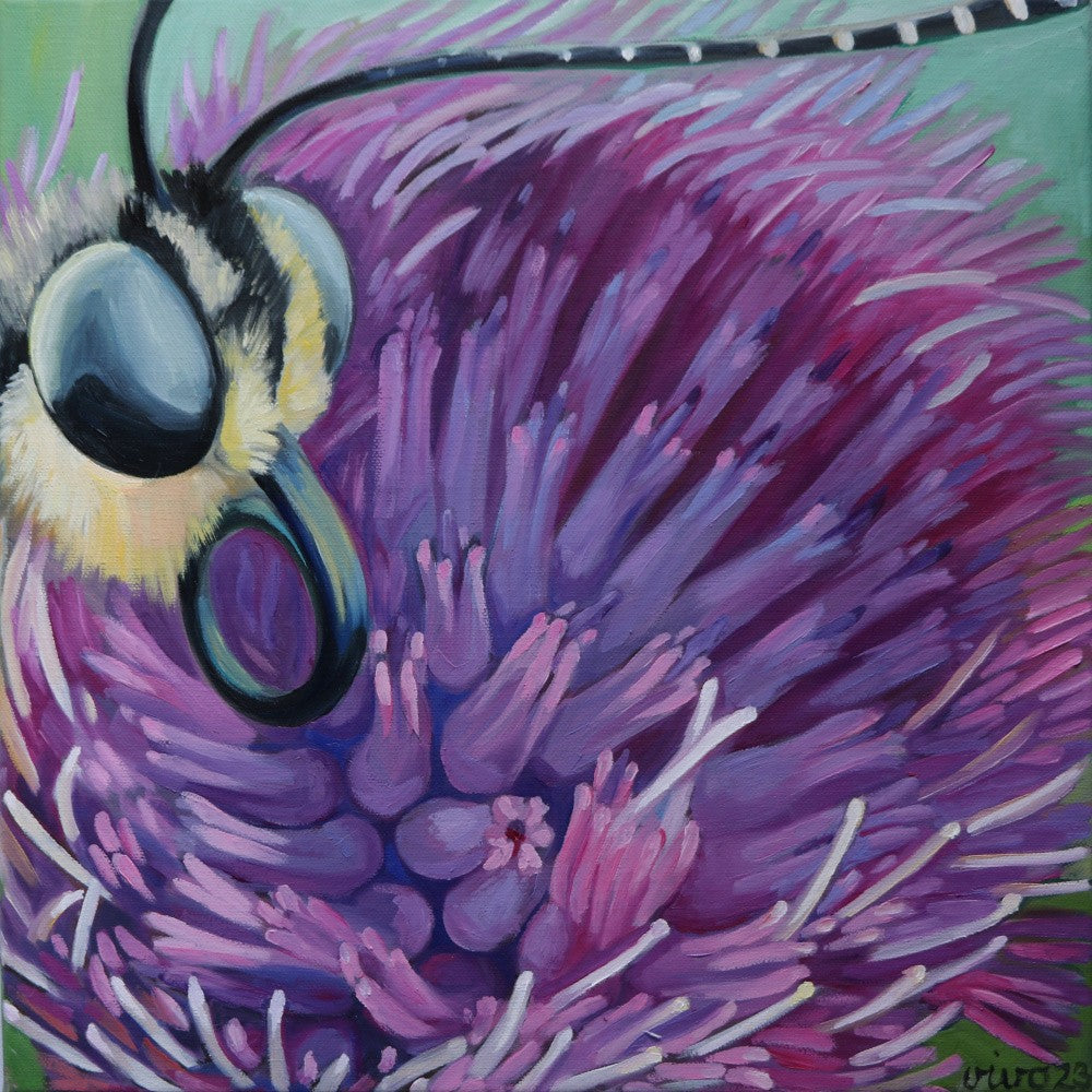 Swallowtail On Donkey Thistle