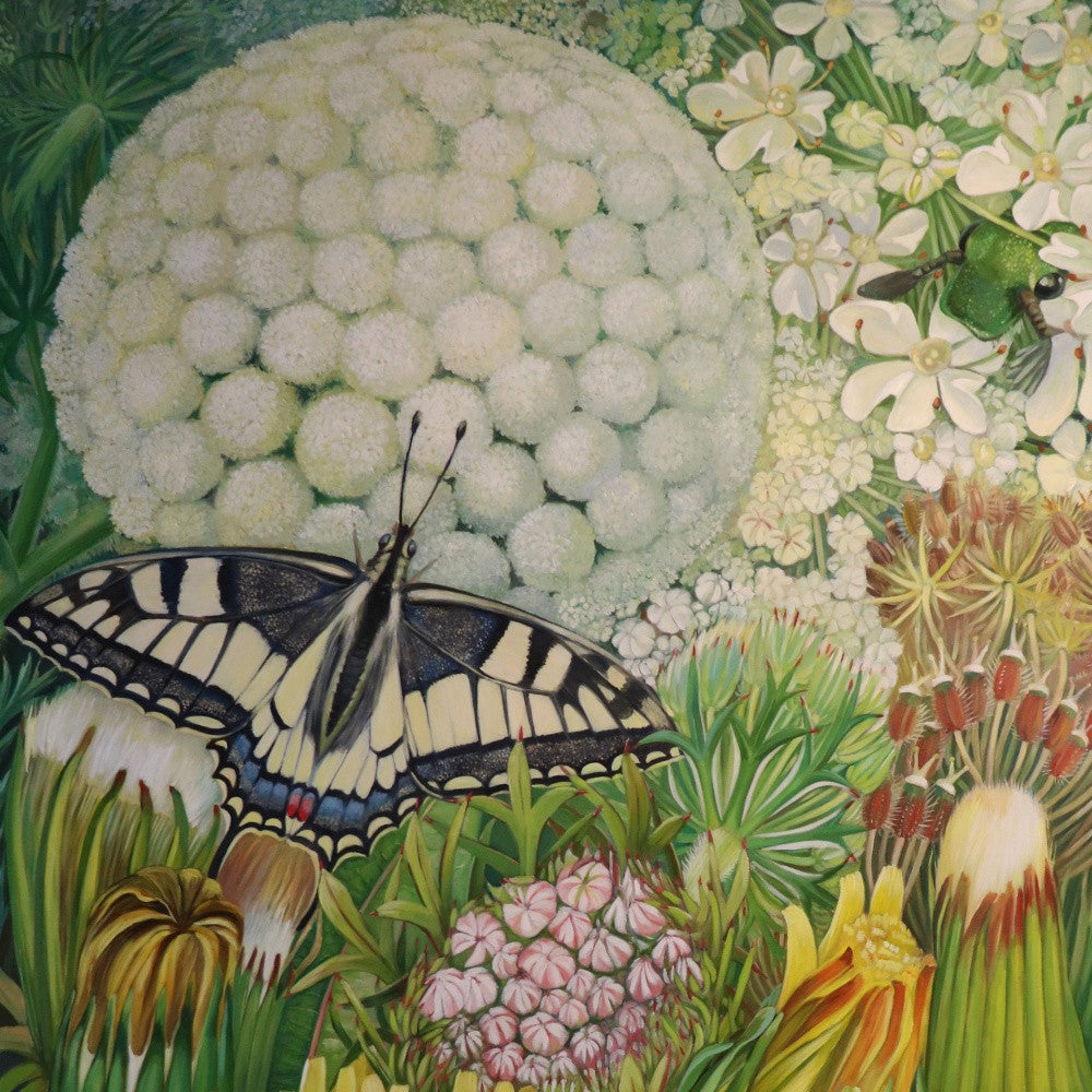 Swallowtail and Wild Carrot Ii