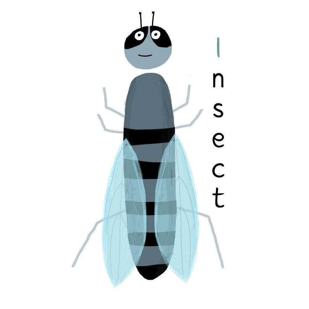 I is for Insect