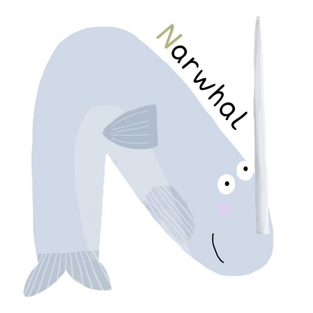 N is for Narwhal
