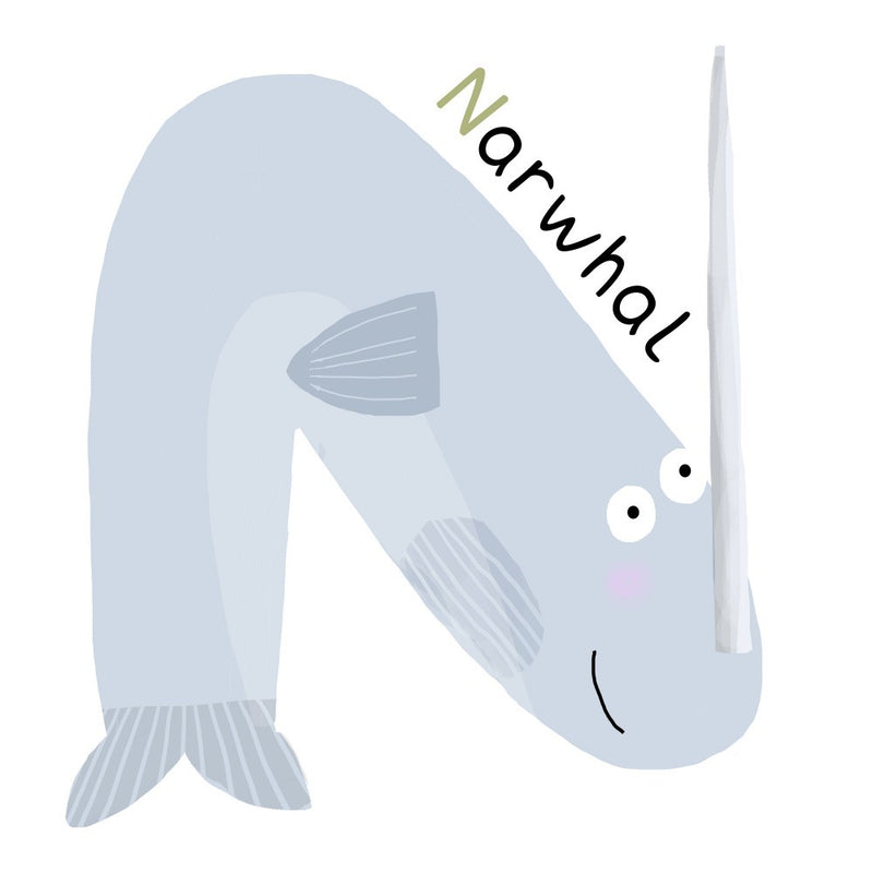 N is for Narwhal