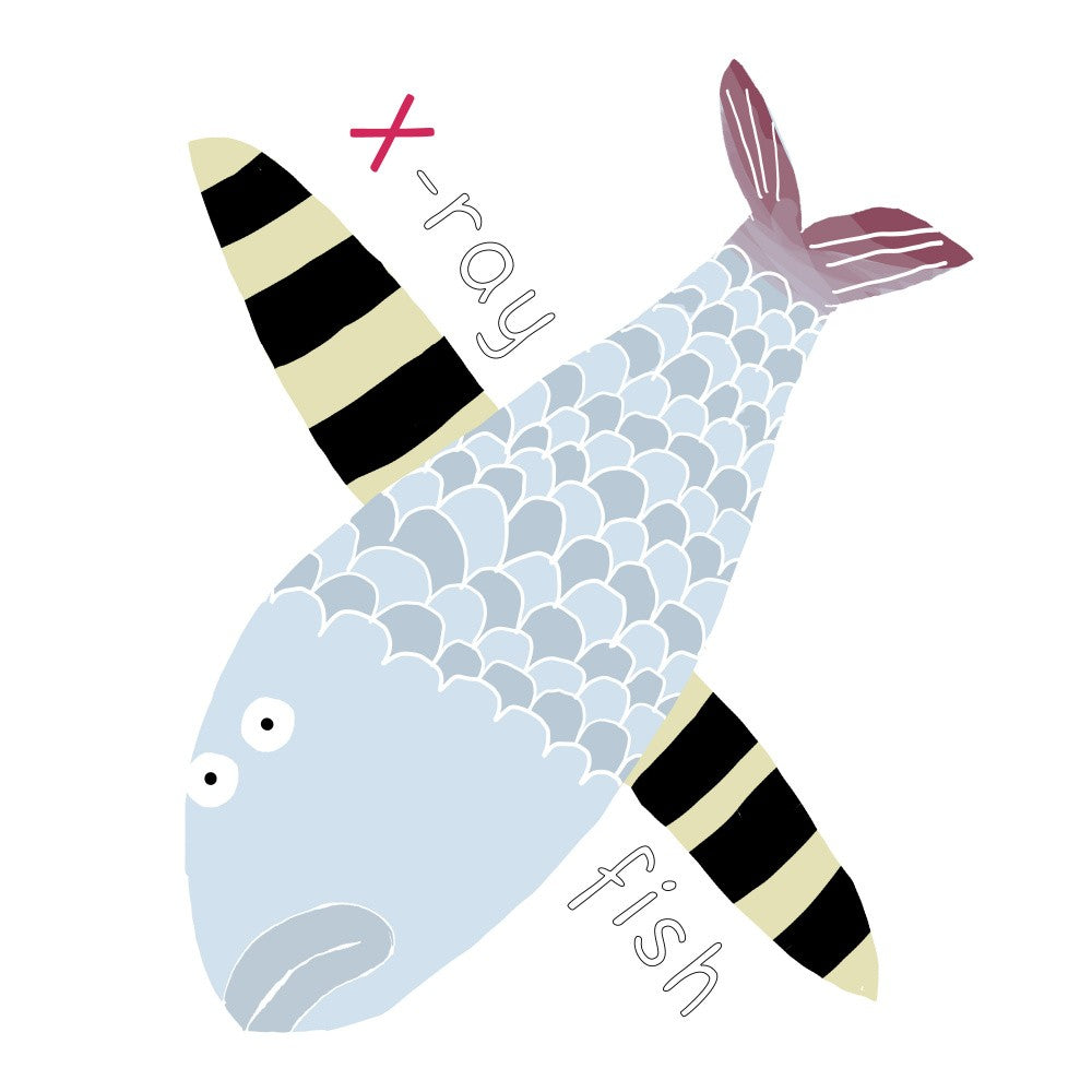 X wie Röntgenfisch