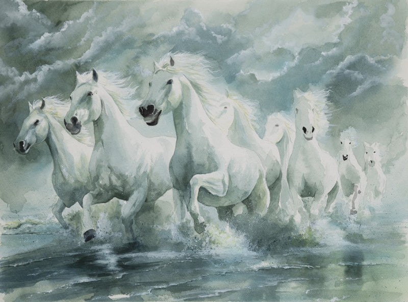 Wild horses