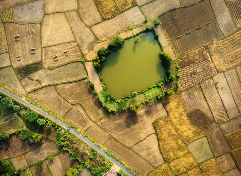 The lake in autumn