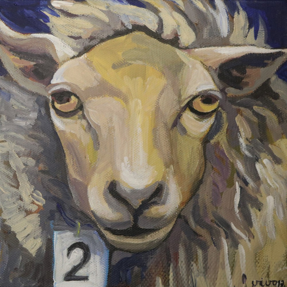Sheep With Expressive Eyes