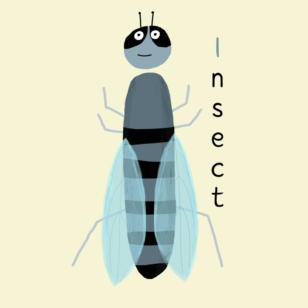 Stylized Cartoon Insect