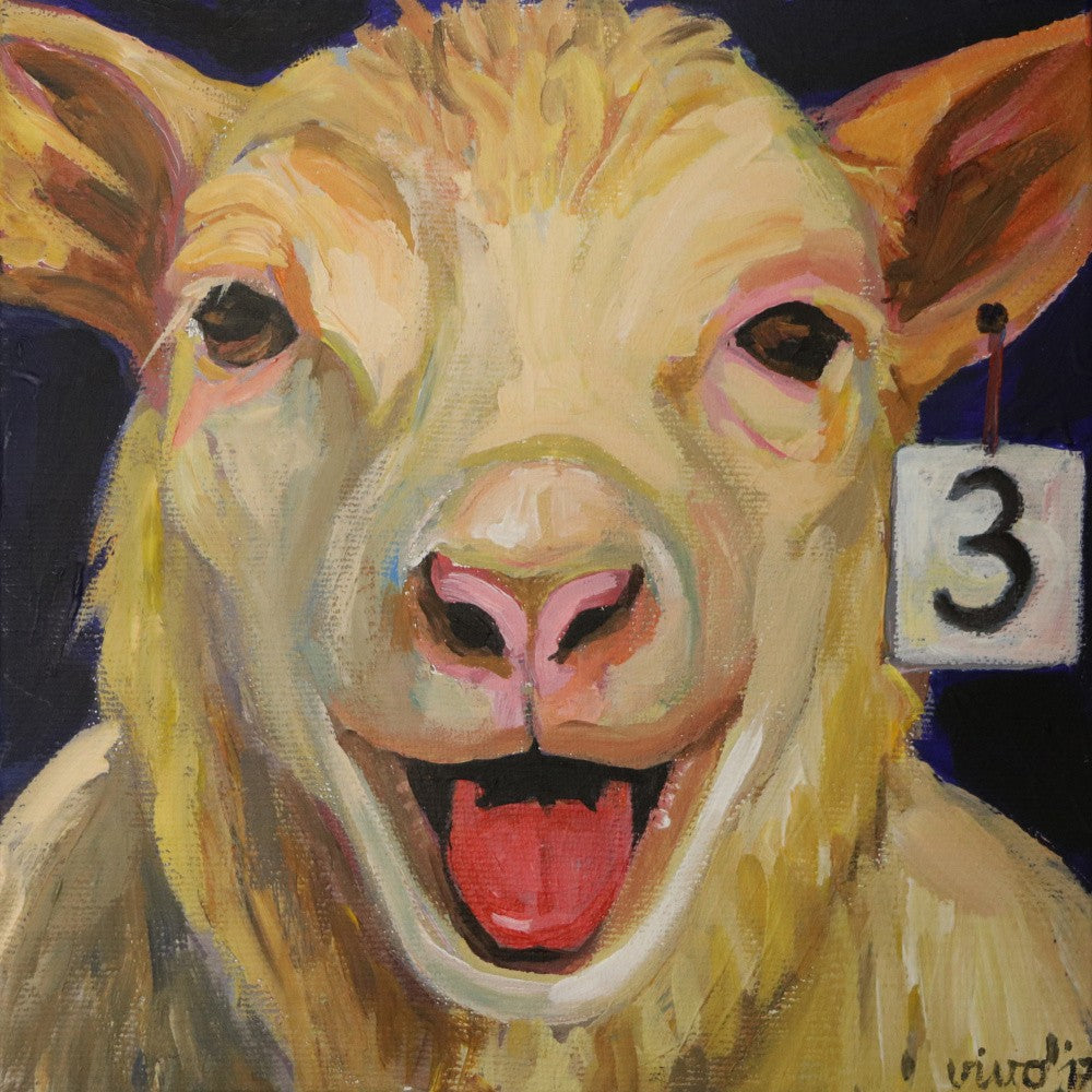 Cheerful Sheep