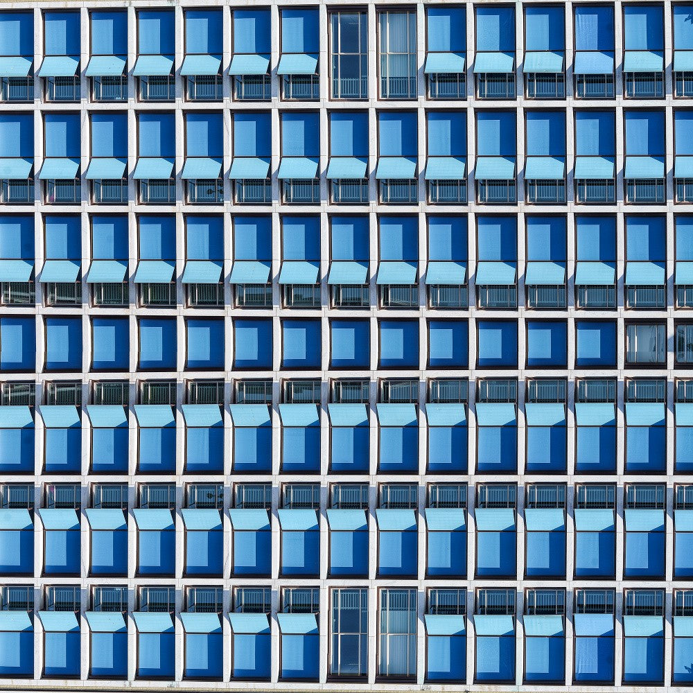 Dizzy Blue