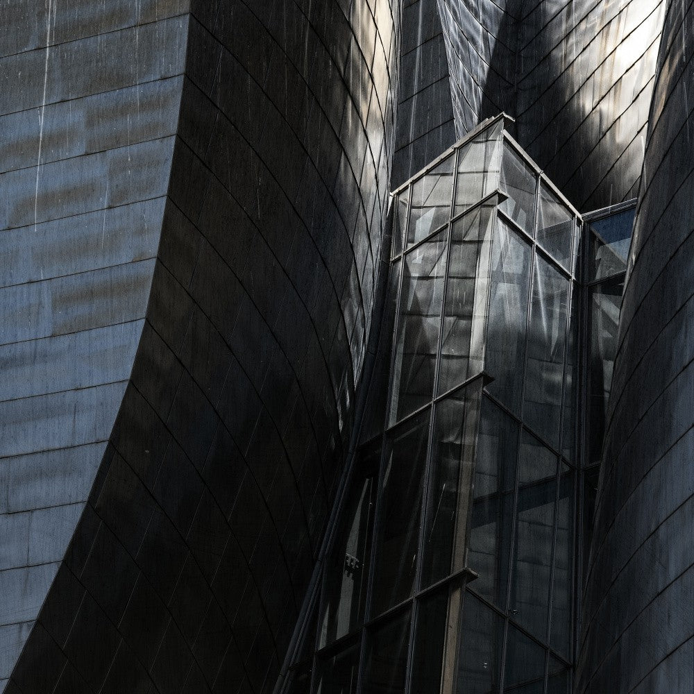 - Guggenheim Bilbao I -