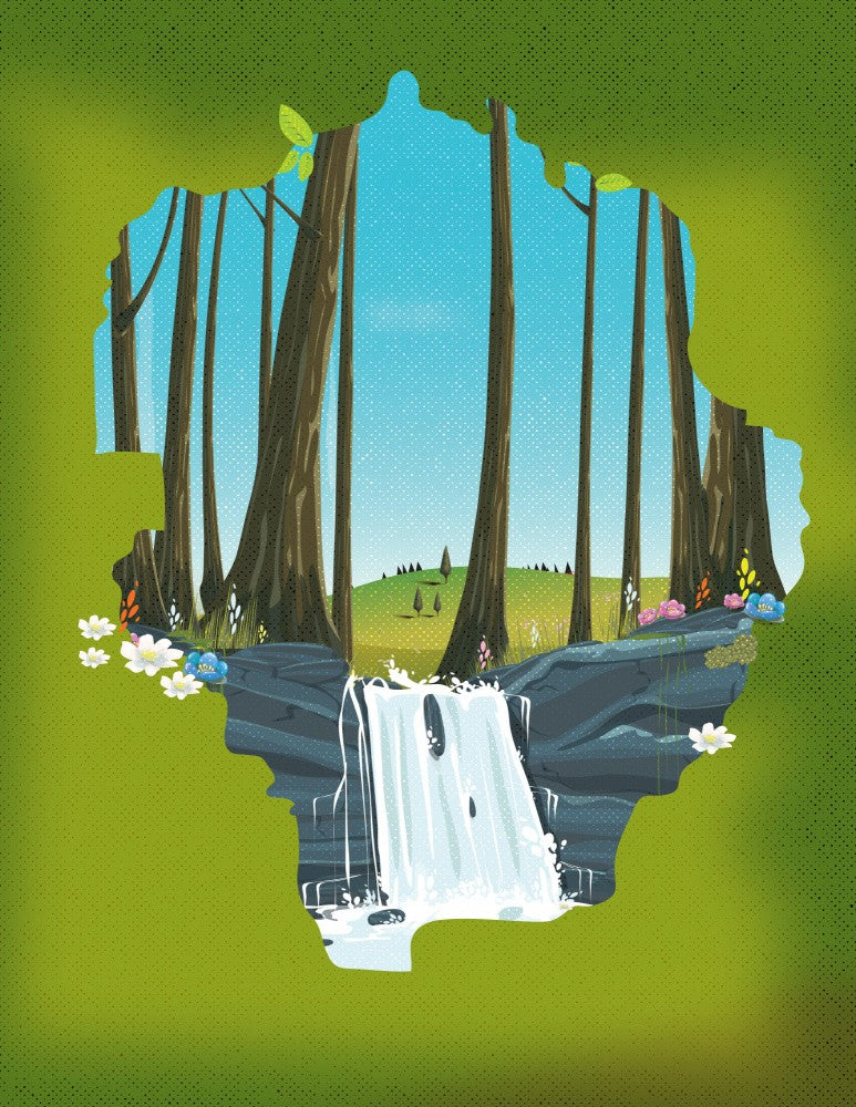 Forest Cascade View