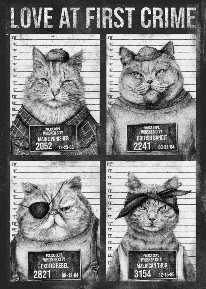 Love At First Crime