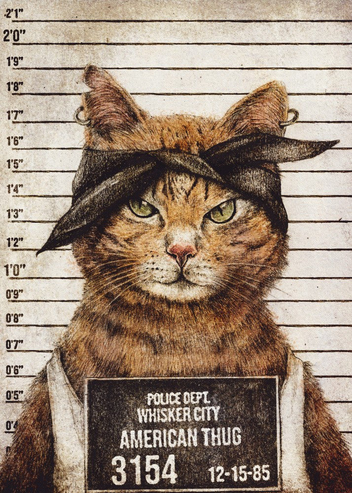 American Thug