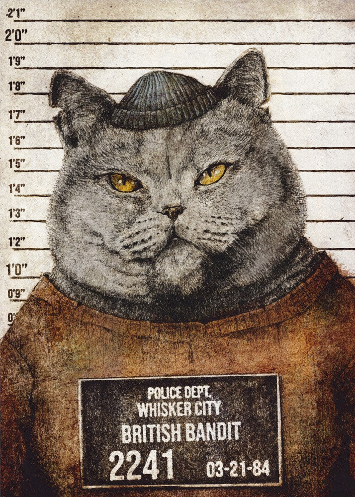 British Bandit