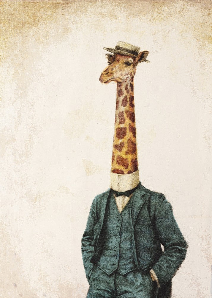 High Class Gentleman