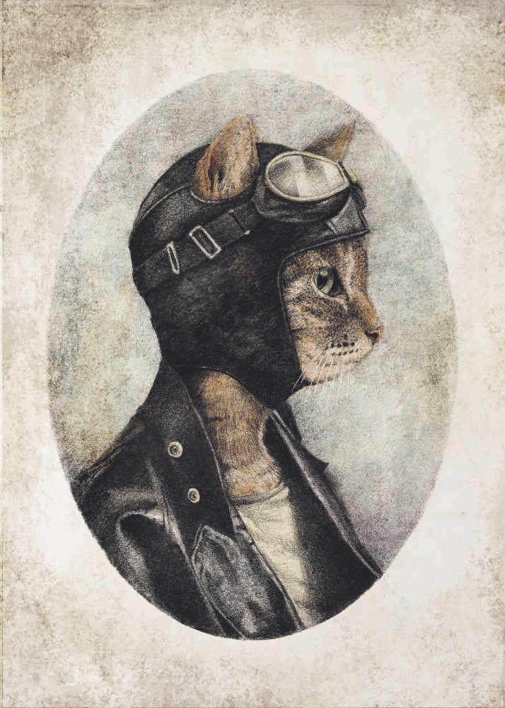 Stylish Cat Wearing A Leather Jacket