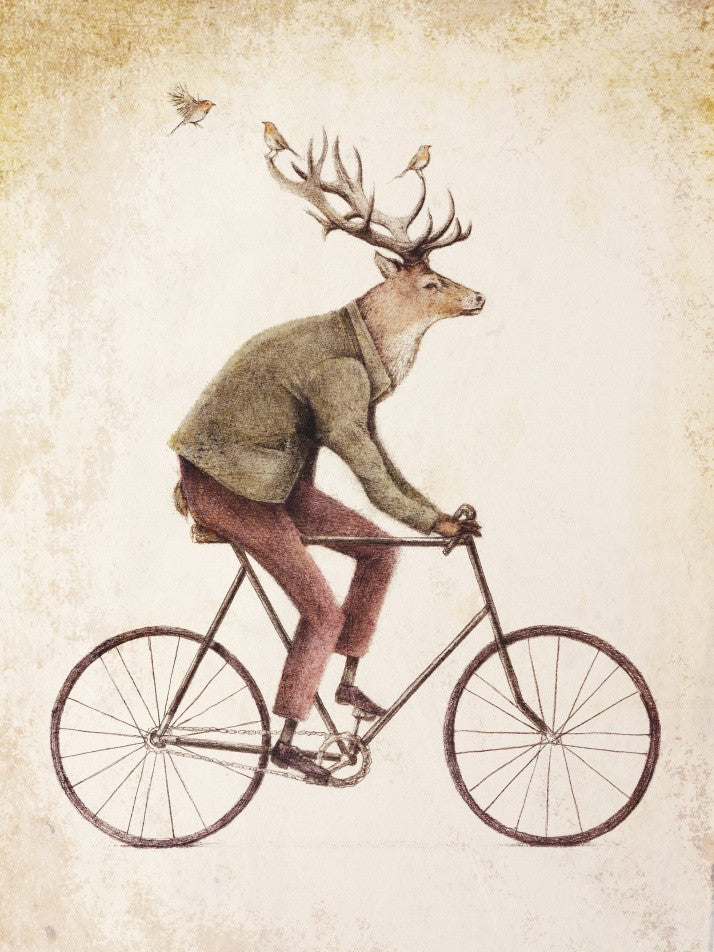 Even a Gentleman rides