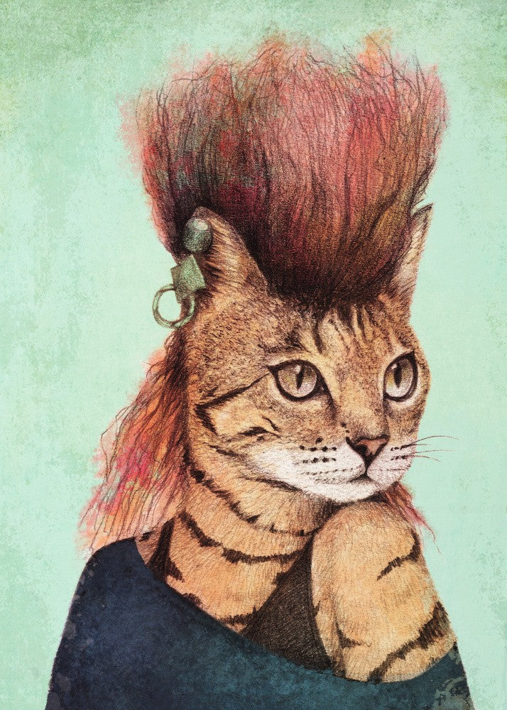 Stylish Tabby Cat
