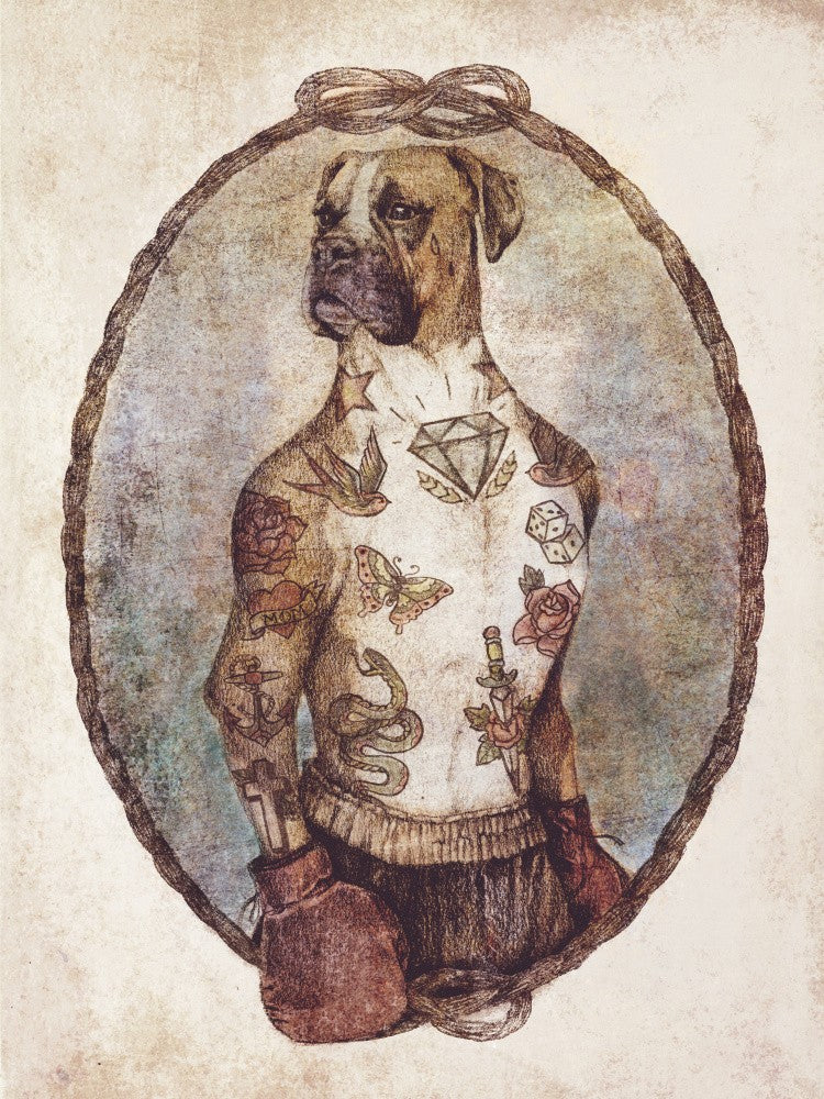 Tattooed Boxer Pup