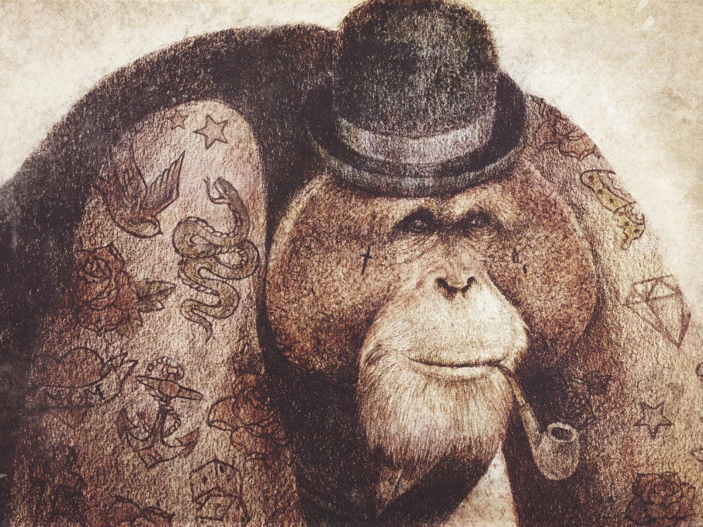 Don&#039;t Mess With Bill