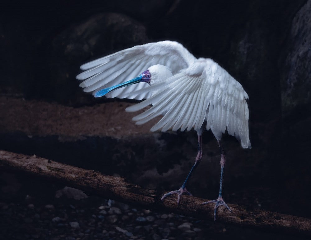 Taking off